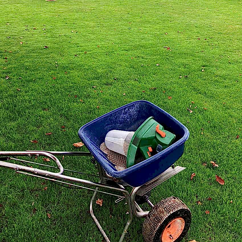 autumn lawn treatment square