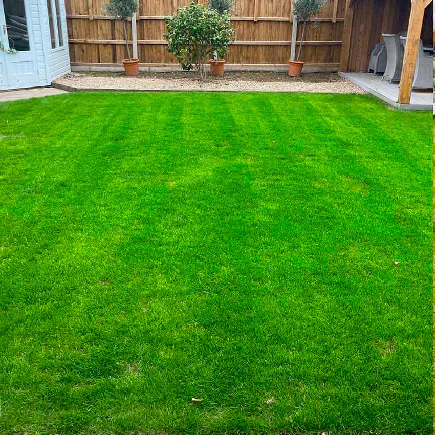 shaun-lee-taverham-lawn-after